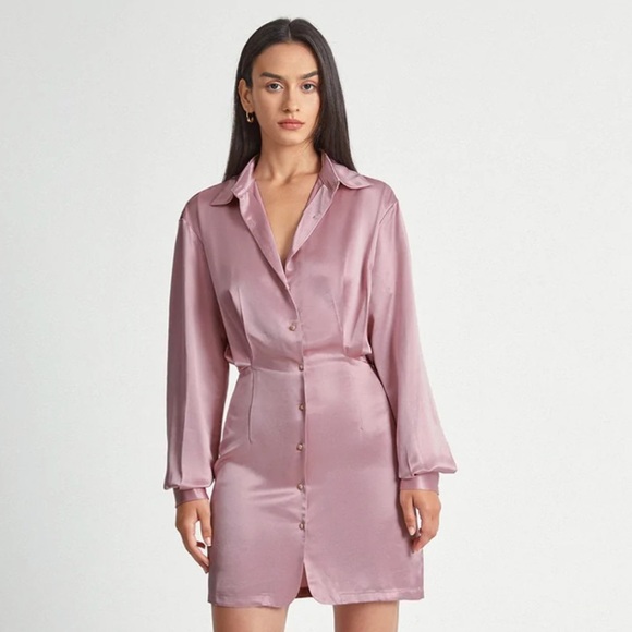 Pink Satin Long Sleeve Collared Button Front Shirt Dress- Size Small - Picture 4 of 10